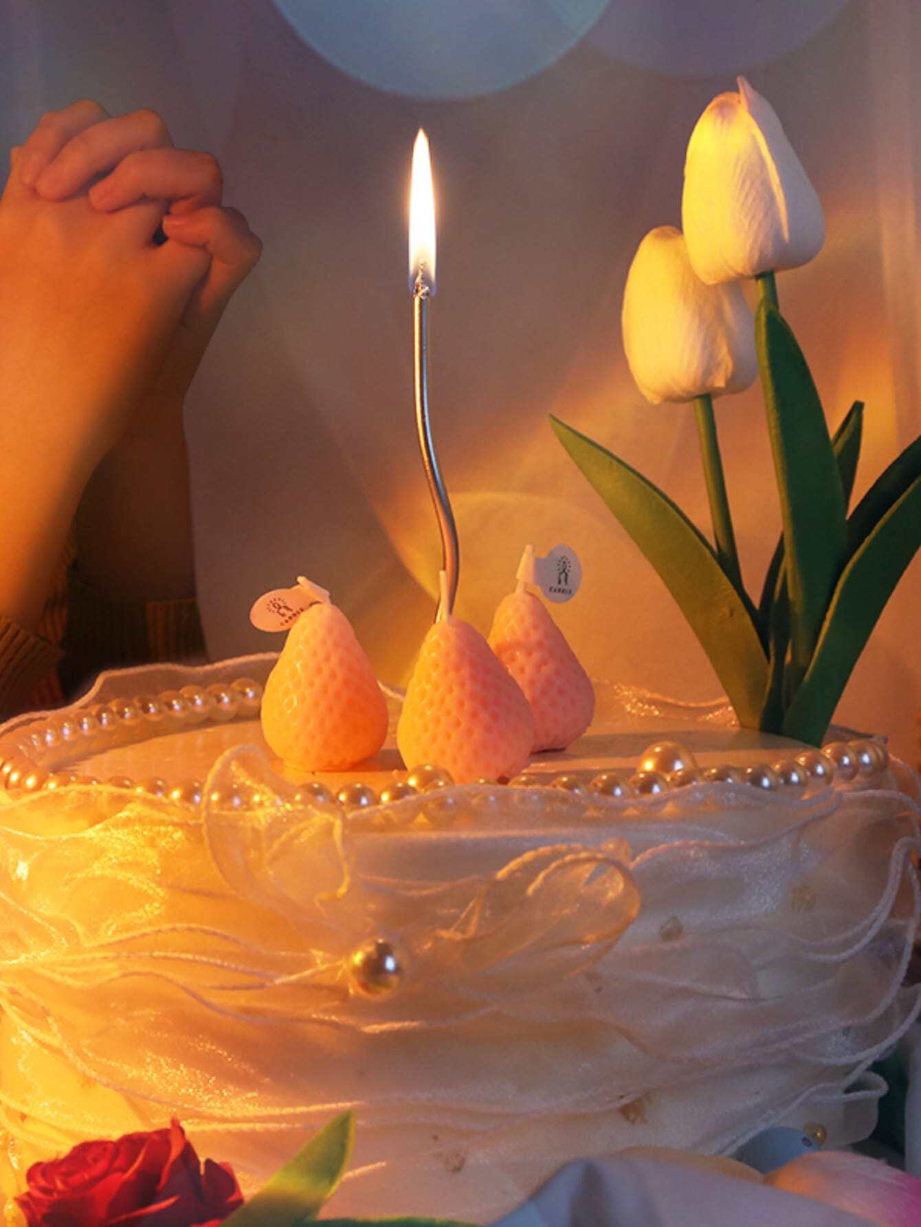 6개/박스 곡선형 생일 초, 케이크 장식용 삽입물, 파 - Candle For Supplies 리뷰 및 가격
