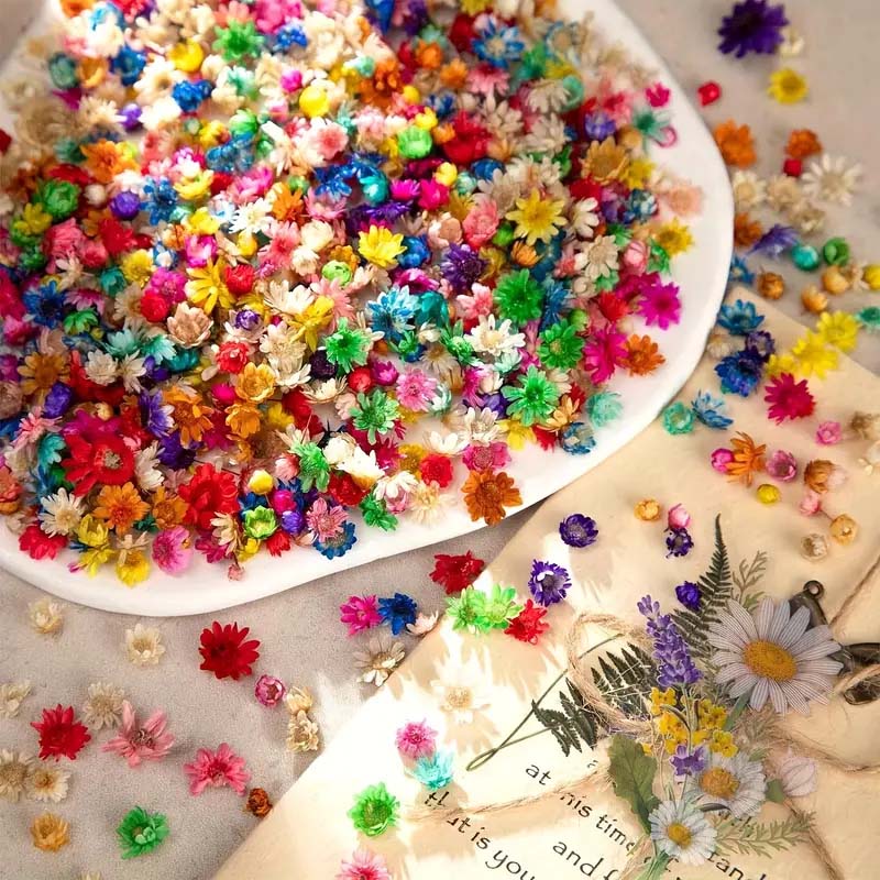 왁스 성형용 혼합 다채로운 꽃, 송진 공예, DIY 장 - Candle Supplies Bulk 리뷰 및 가격